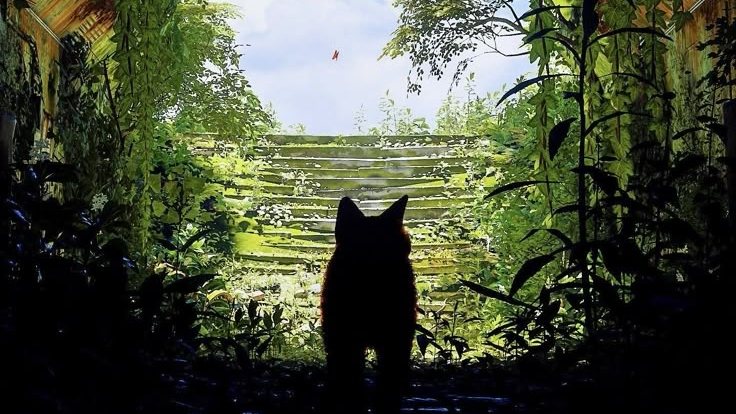 Nature Heals